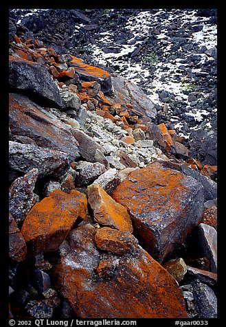 Lichen covered rocks at the base of Arrigetch Peaks. Gates of the Arctic National Park (color)