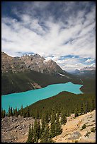 Peyto Lake, turquoise-colored by glacial flour, mid-day. Banff National Park, Canadian Rockies, Alberta, Canada