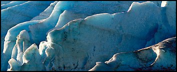 Ice fins on Exit Glacier. Kenai Fjords  National Park (Panoramic color)