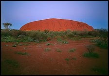 Ayers Rock at dawn. Uluru-Kata Tjuta National Park, Northern Territories, Australia ( color)