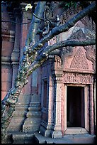 Vegetation invades khmer-style temple. Muang Boran, Thailand ( color)
