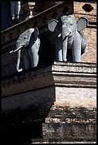 Elephants at Wat Chedi Luang. Chiang Mai, Thailand ( color)
