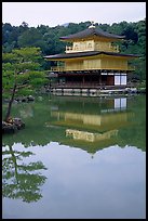 Golden pavilion, Kinkaku-ji Temple. Kyoto, Japan (color)