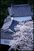 Rooftops and cherry trees seen from the castle donjon. Himeji, Japan