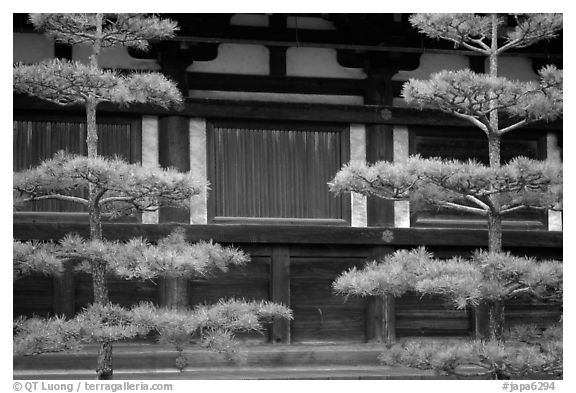 black and white japan scenery