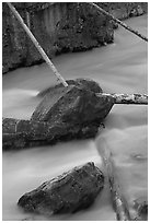 Fallen trees in silt-colored Tokkum Creek. Kootenay National Park, Canadian Rockies, British Columbia, Canada (black and white)