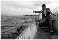 Cormorant fisherman sends out his birds. Dali, Yunnan, China ( black and white)