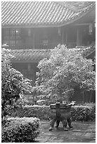Wannian Si temple in the fog. Emei Shan, Sichuan, China (black and white)