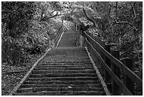 Stairs leading up Elephant Mountain. Taipei, Taiwan (black and white)