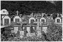 Tombs below lush cliff, Chongde. Taiwan ( black and white)
