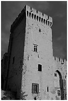 Medieval tower. Avignon, Provence, France ( black and white)
