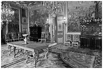 Salon Francois 1er, Fontainebleau Palace. France ( black and white)