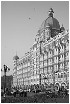 Taj Mahal Intercontinental Hotel and pigeons. Mumbai, Maharashtra, India (black and white)