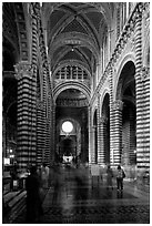 Inside of the Siena Cathedral (Duomo). Siena, Tuscany, Italy (black and white)