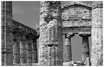 Doric-style Tempio di Cerere (Temple of Ceres). Campania, Italy (black and white)