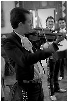 Mariachi violonist, Tlaquepaque. Jalisco, Mexico (black and white)