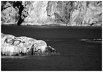 Rock with sea lions in Aialik Bay. Kenai Fjords National Park, Alaska, USA. (black and white)