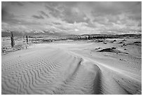 Ripples in the Great Sand Dunes. Kobuk Valley National Park, Alaska, USA. (black and white)