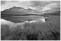 Grasses, lake, and mountains. Wrangell-St Elias National Park, Alaska, USA. (black and white)