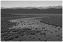 Salt pool and sunrise over the Panamints. Death Valley National Park, California, USA. (black and white)
