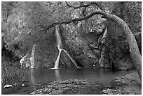 Desert Oasis with Darwin Falls. Death Valley National Park, California, USA. (black and white)