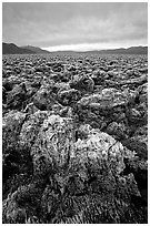 Salt formations at Devil's Golf Course. Death Valley National Park, California, USA. (black and white)