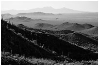 Desert mountains with saguaro-covered ridges. Saguaro National Park ( black and white)