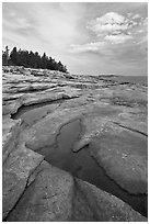 Slabs and puddles near Schoodic Point. Acadia National Park, Maine, USA. (black and white)