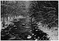 River in snowy forest, Tennessee. Great Smoky Mountains National Park, USA. (black and white)