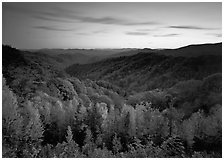 Row of trees, valley and ridges in fall color at sunset, North Carolina. Great Smoky Mountains National Park, USA. (black and white)