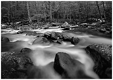 Confluence of the Little Pigeon Rivers, Tennessee. Great Smoky Mountains National Park ( black and white)