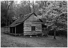 Noah Ogle log cabin in the spring, Tennessee. Great Smoky Mountains National Park ( black and white)