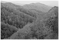 Ridges covered with deciduous trees in fall, North Carolina. Great Smoky Mountains National Park ( black and white)