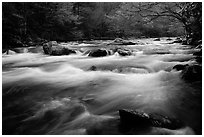 Little River flow, Tennessee. Great Smoky Mountains National Park, USA. (black and white)