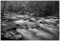 Water flowing over boulders in the spring, Treemont, Tennessee. Great Smoky Mountains National Park ( black and white)