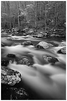 Boulders in flowing water, Middle Prong of the Little River, Tennessee. Great Smoky Mountains National Park ( black and white)