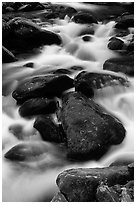 Stream flowing over mossy boulders, Roaring Fork, Tennessee. Great Smoky Mountains National Park ( black and white)