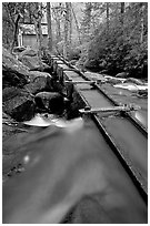 Flume to Reagan's Mill from Roaring Fork River, Tennessee. Great Smoky Mountains National Park ( black and white)