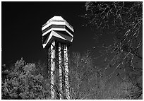 Hot Springs mountain tower. Hot Springs National Park ( black and white)