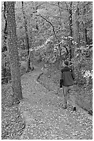 Hiker on trail amongst fall colors, Hot Spring Mountain. Hot Springs National Park ( black and white)