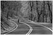 Bicyclist on Skyline drive. Shenandoah National Park, Virginia, USA. (black and white)
