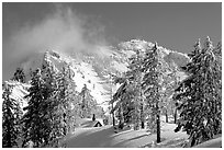 Trees, cabin, and Mt Garfield in winter. Crater Lake National Park ( black and white)