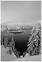Wizard Island and Lake at dusk, framed by snow-covered trees. Crater Lake National Park, Oregon, USA. (black and white)