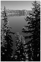 Trees and Lake. Crater Lake National Park, Oregon, USA. (black and white)