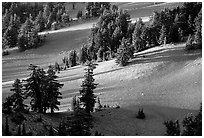 Volcanic hills and pine trees. Crater Lake National Park ( black and white)