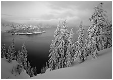 Trees, Wizard Island, and lake, winter dusk. Crater Lake National Park ( black and white)