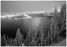 Conifers, Lake and Wizard Island, winter sunrise. Crater Lake National Park ( black and white)
