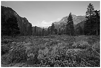 Meadow and cliffs at sunset, Cedar Grove. Kings Canyon National Park, California, USA. (black and white)