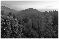 Redwood Canyon from above, sunset. Kings Canyon National Park ( black and white)