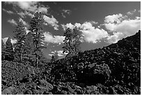 Pines on Fantastic lava beds. Lassen Volcanic National Park ( black and white)